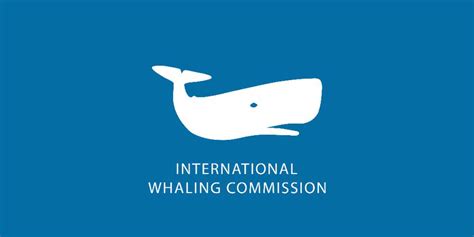 iwc whaling members|Recommendations by IWC .